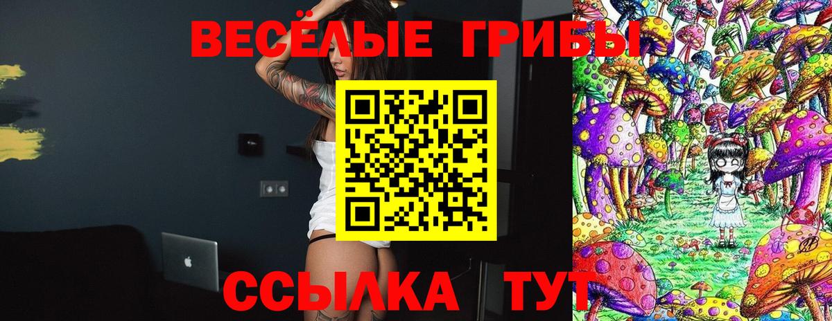 Галлюциногенные грибы Cubensis  Вход с VPN  Горячий Ключ 